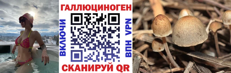 Галлюциногенные грибы мицелий  Галич 